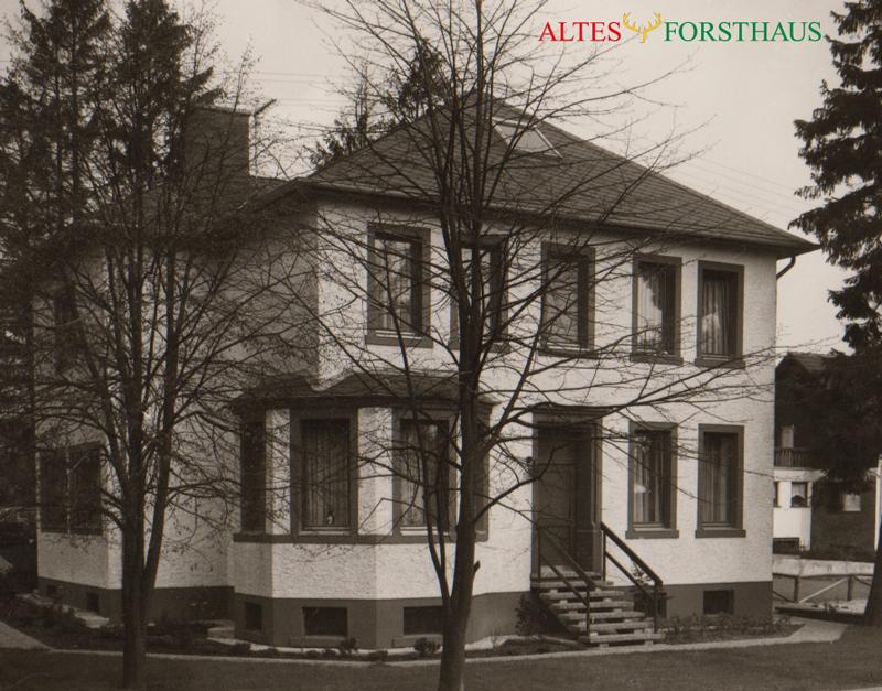 Altes Forsthaus Bed & Breakfast Manderscheid Ngoại thất bức ảnh